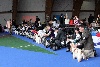  - European Dog Show Celje Solvenia 03/10/10