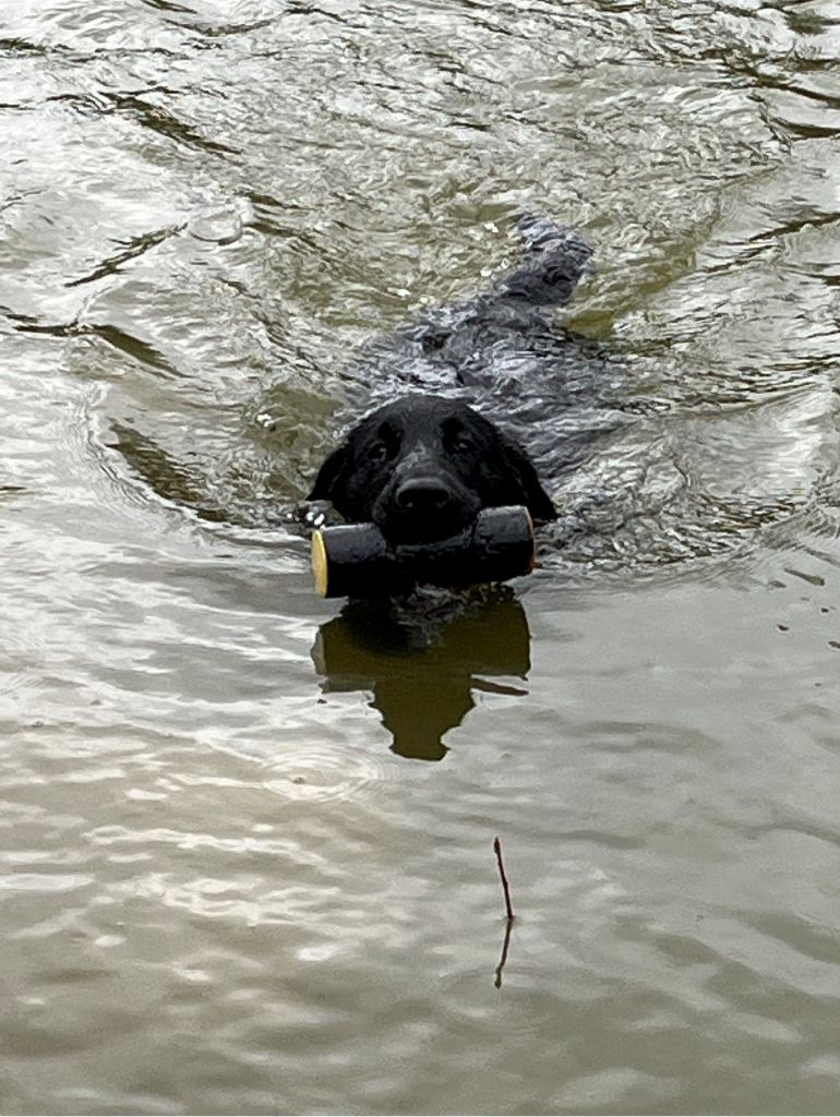 Premier Rapport à l'eau 4 mois