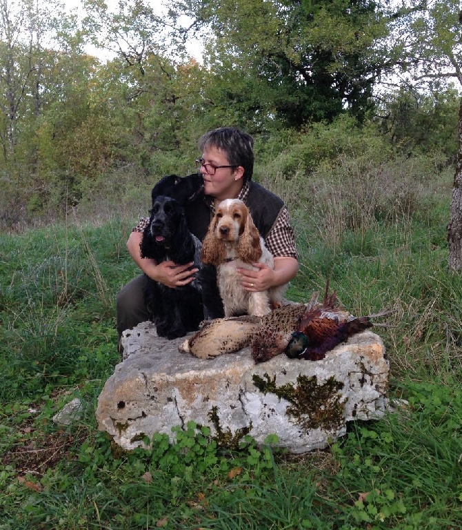 des sous-bois Becassiers - Encore une belle journée de chasse !!