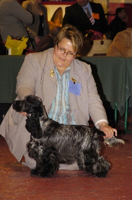 des sous-bois Becassiers - CACIB Périgueux 05/03/2011