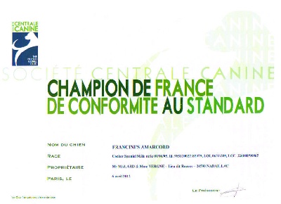 des sous-bois Becassiers - Encore un titre de champion à l'élevage !!